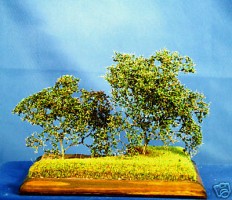 Diorama Zubehör Modell Bäume, 2 Büsche im Sommer, 1:32,